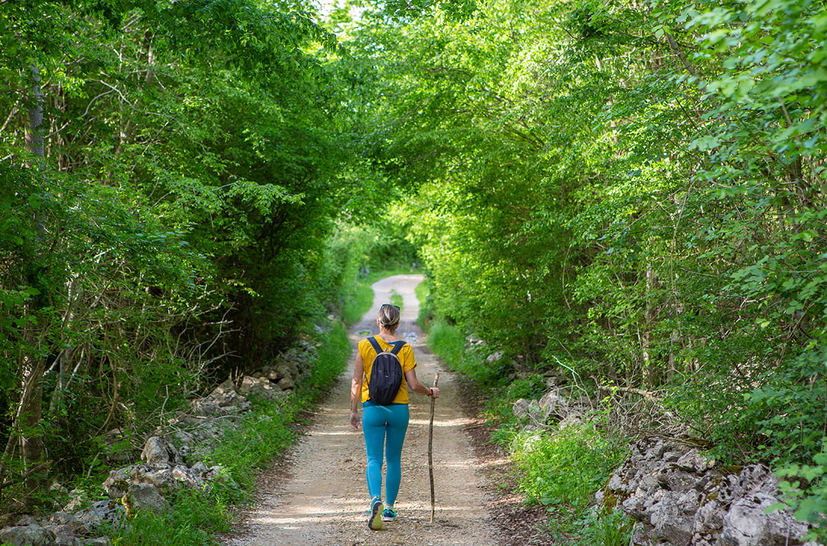 Camino Krk